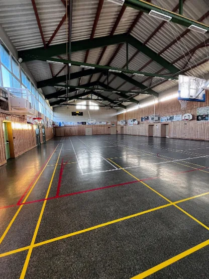 Salle verte, vaste gymnase au sol sombre marqué de lignes jaunes et rouges, avec charpente métallique verte, lambris muraux et paniers de basket relevés.