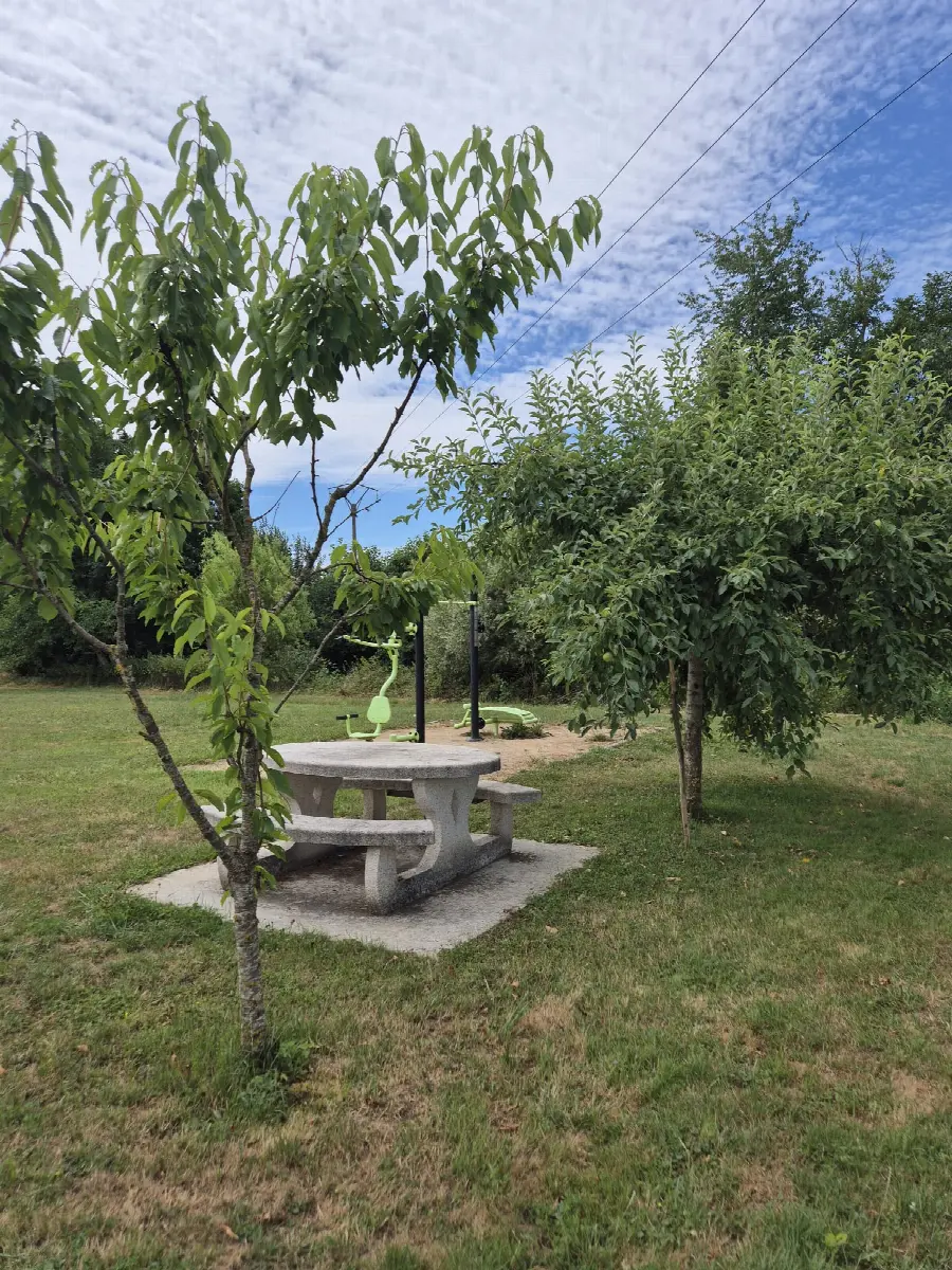 Table de pique-nique en pierre à l'ombre des arbres, près des appareils de fitness